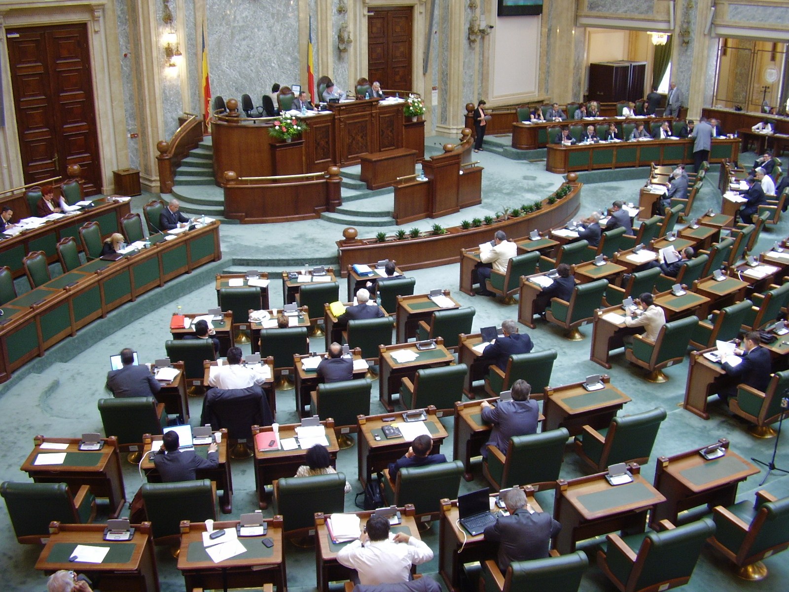 Senatul a adoptat propunerea de excludere a stufărişurilor din categoria pajiştilor
