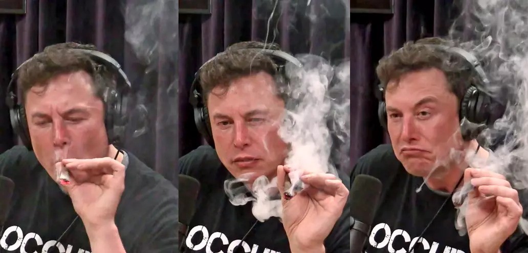 Cum au ajuns psihedelicele subiect de debate în Silicon Valley?