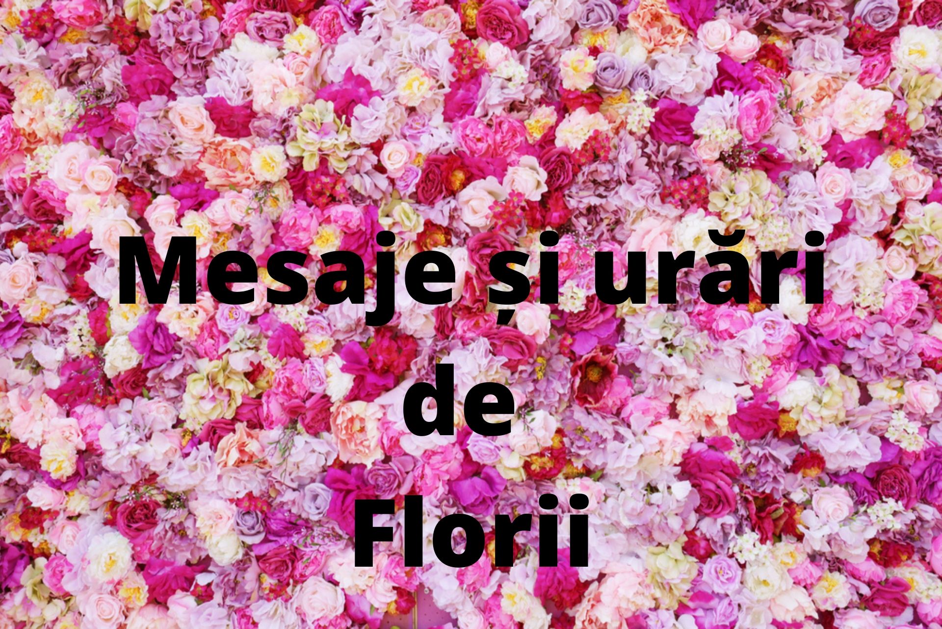 Mesaje De Florii 2024 – Urări și Felicitări Pe Care Să Le Trimiți De Florii