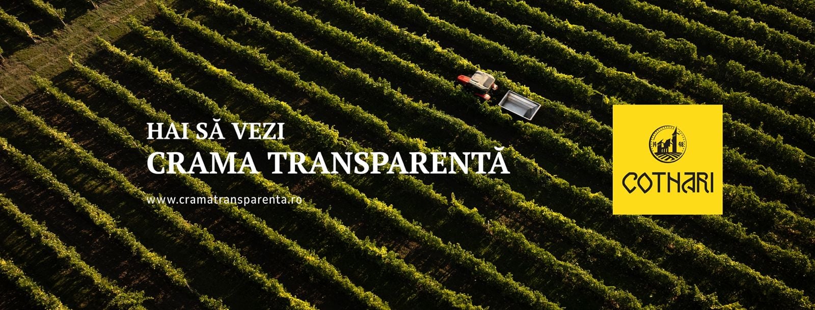 Cotnari își Deschide Porțile Digitale și Te Invită Să Explorezi „Crama Transparentă”