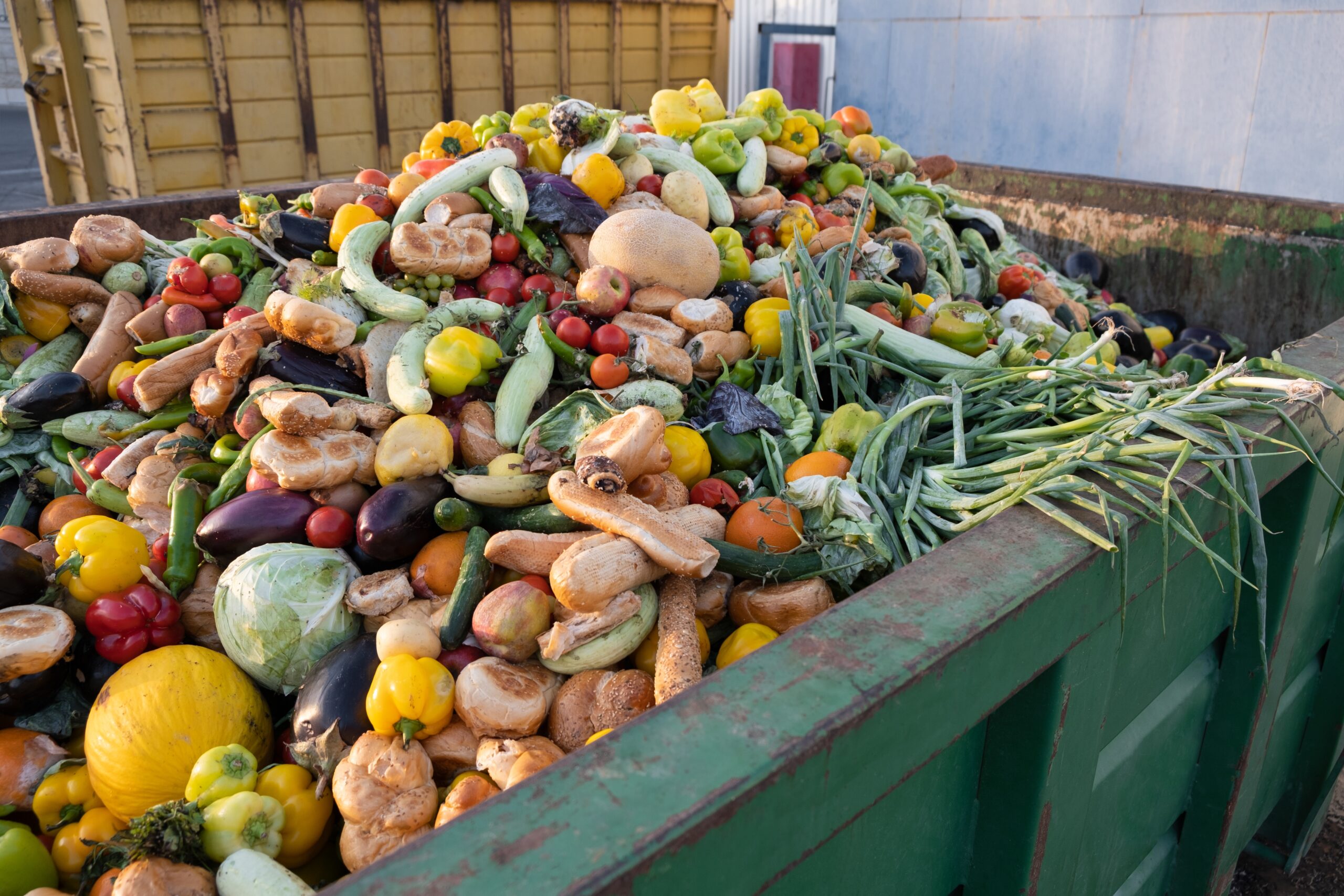 O româncă gătește cu legume și fructe aruncate la gunoi