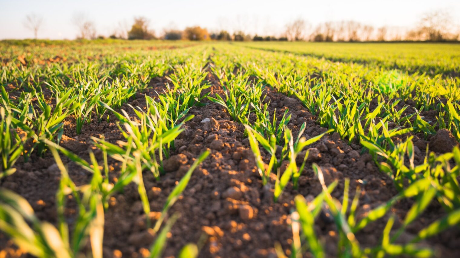 Comisarul european pentru agricultură vine în România