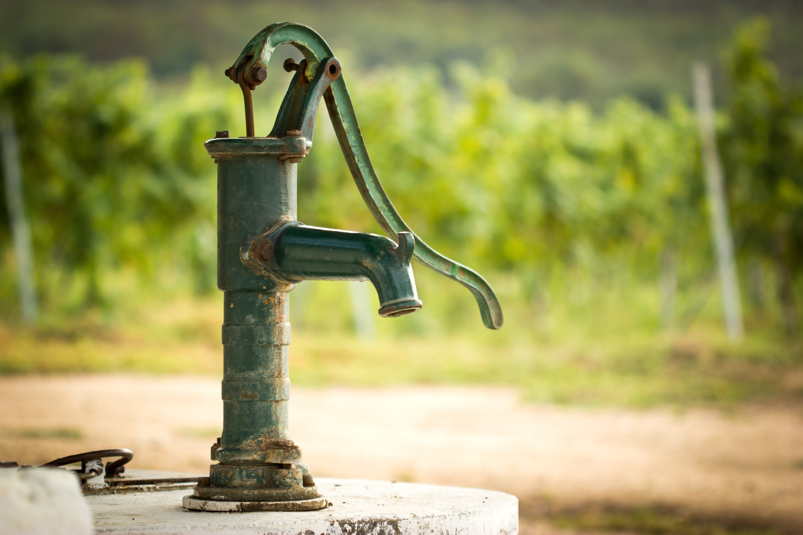 În județul Vaslui, fântânile testate sunt contaminate cu E-coli