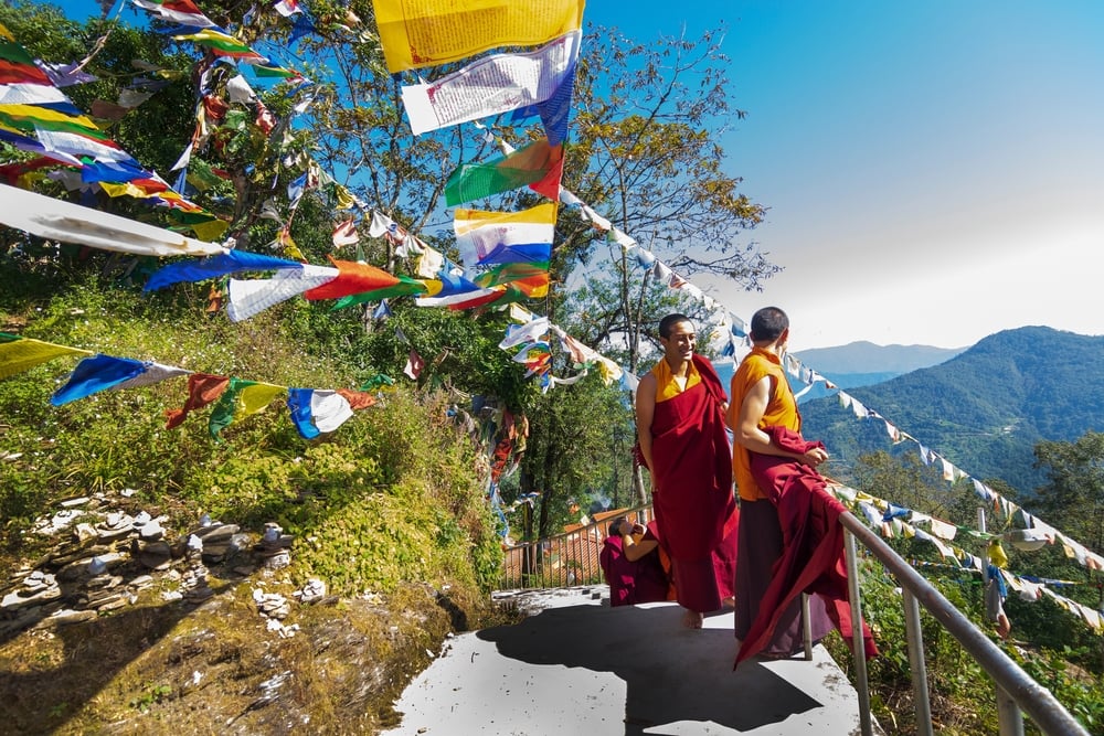 Curiozități Despre Tibet | Libertatea