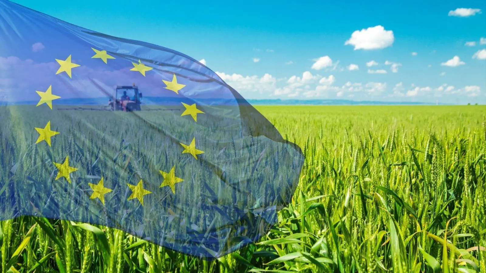 Comisia Europeană va aloca 21,6 milioane de euro fermierilor