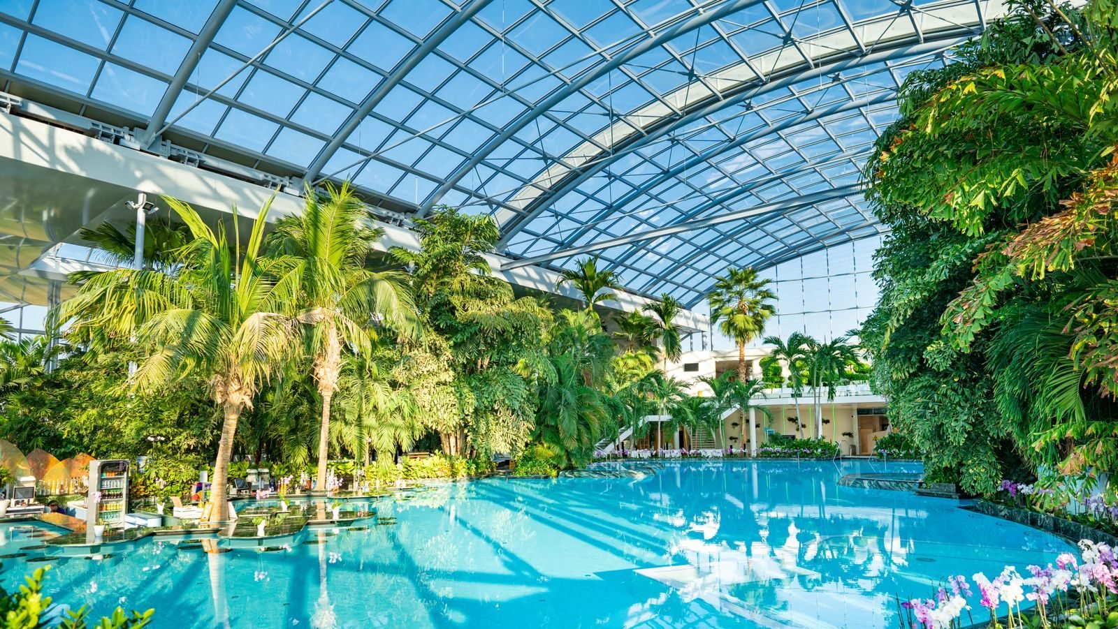 România E Lider în Europa La Cele Mai Bune și Ieftine Spa-uri. Therme, Pe Primul Loc: „30% Din Clienți Sunt Străini”