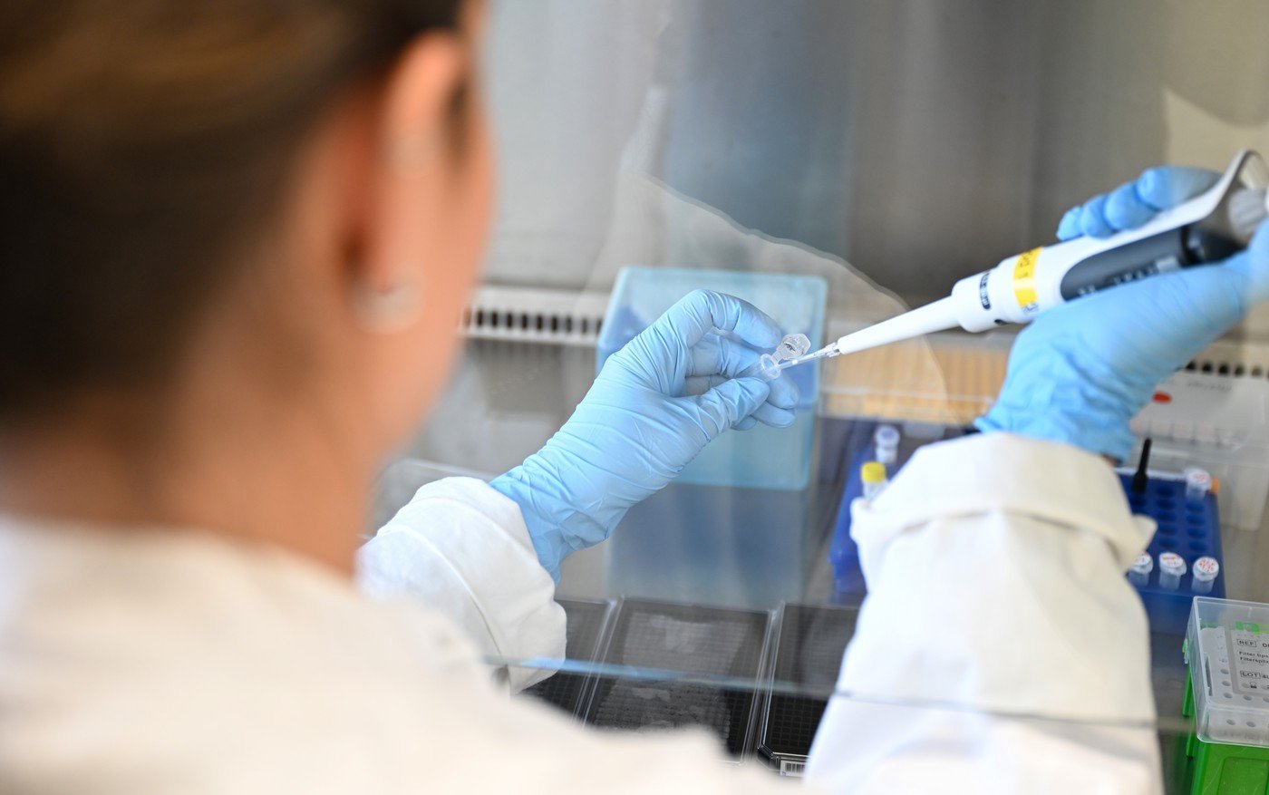 Un „comutator Molecular” Care Transformă Celulele Canceroase în Celule Sănătoase, Descoperit De Cercetătorii Coreeni
