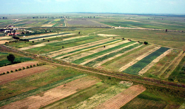 Cetățenii străini dețin 2.800 ha de terenuri agricole în România