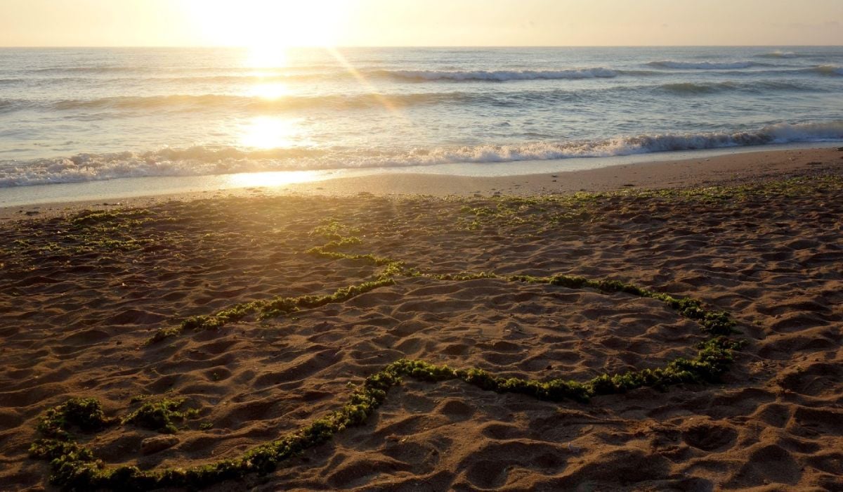 Vacanțe de la 44 de lei pe noapte în stațiuni precum Eforie Nord, Jupiter sau Costinești.