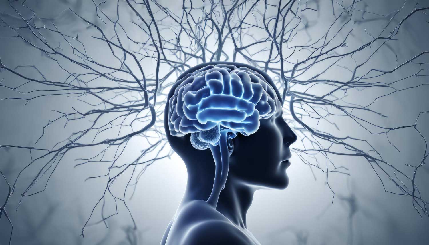 Poate creierul să rămână fără memorie? Studiile spun nu