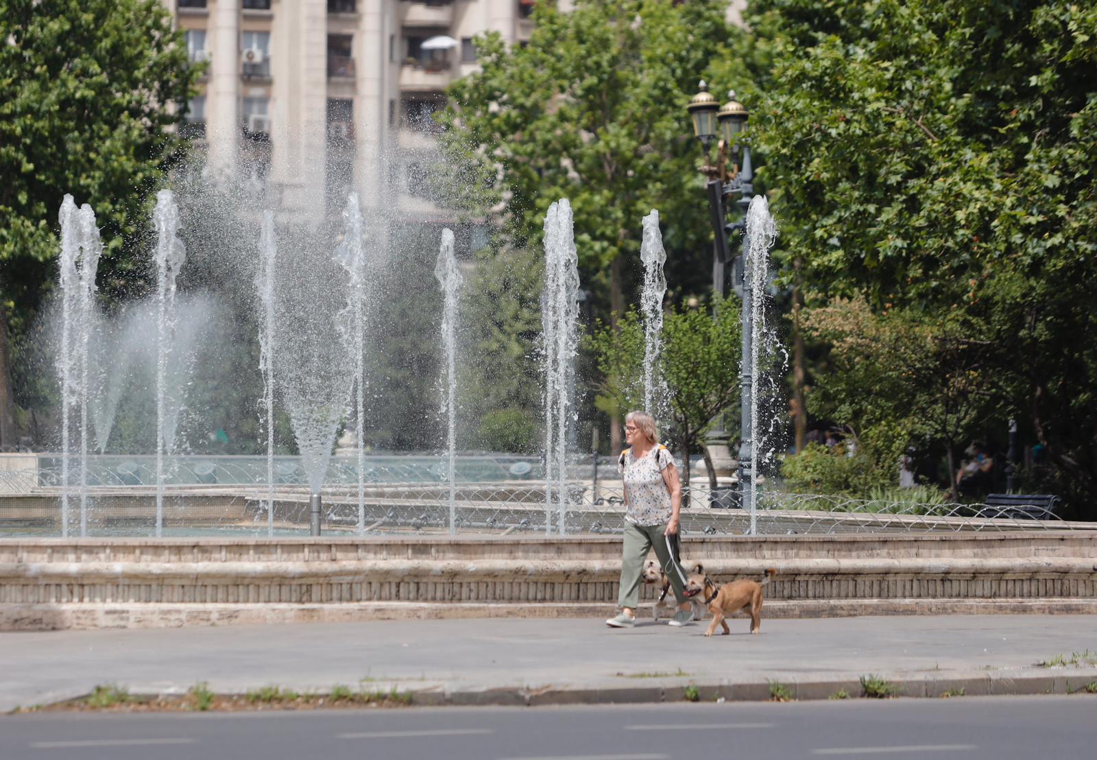 Efectele caniculei în cazul cardiacilor și vârstnicilor. Ce trebuie să știți
