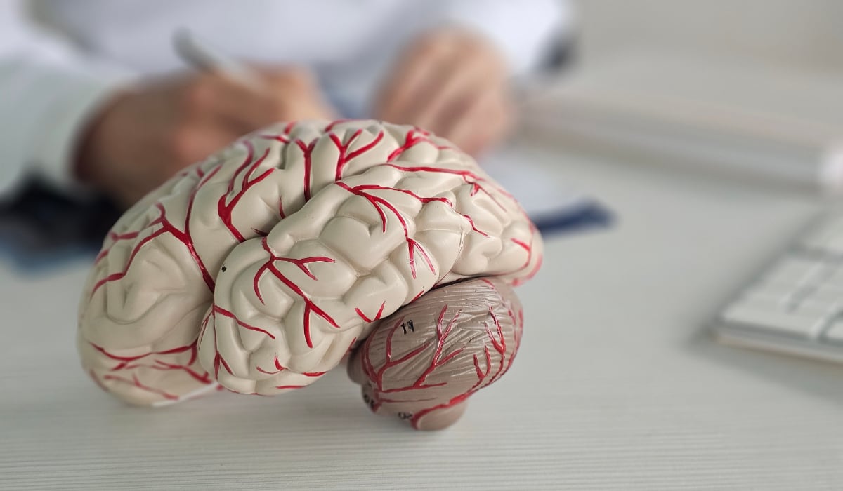 Noi cercetări confirmă că neuronii se formează în creierul adult. Românul Ionuț Dumitru, în echipa care face aceste descoperiri extraordinare