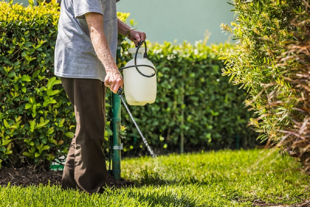 Ce sunt pesticidele şi ce trebuie să ştim despre ele