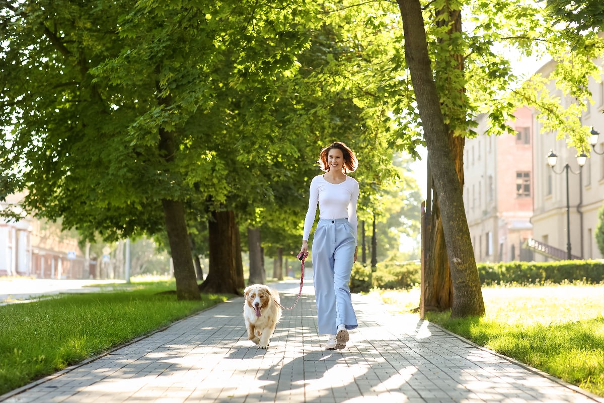 Cum va afecta noua taxă pentru câini turiștii și localnicii din Bolzano