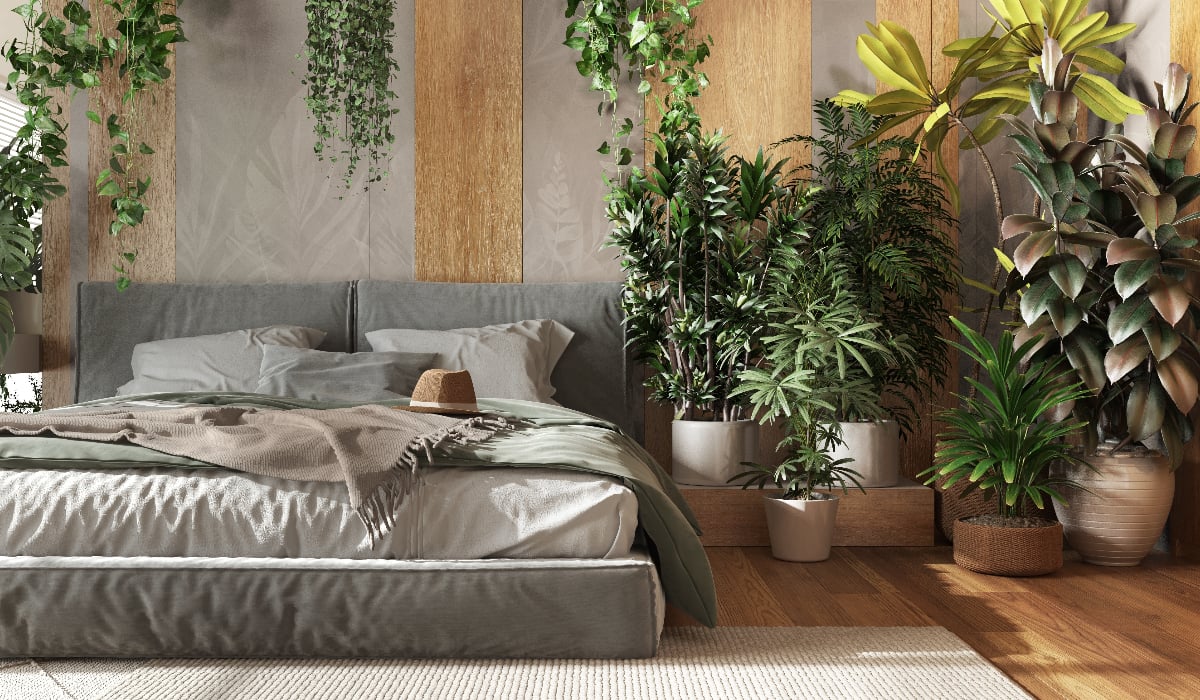 Ce este trendul biofilic pentru interioare și cum să-l aduci în casa ta. Patru trucuri simple