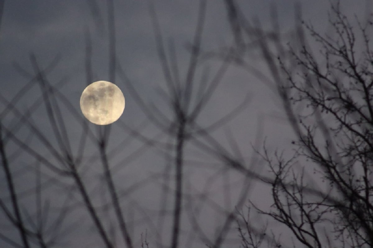 Luna plină din 3 ianuarie. Primul prag dificil la începutul anului 2026
