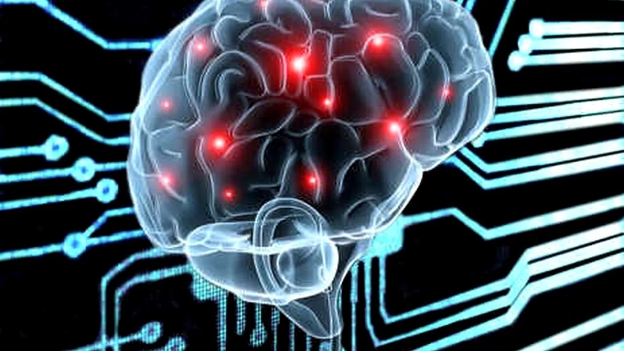 Dieta care poate încetini îmbătrânirea creierului cu aproape 3 ani. Reduce riscul de demență și menține funcțiile cognitive