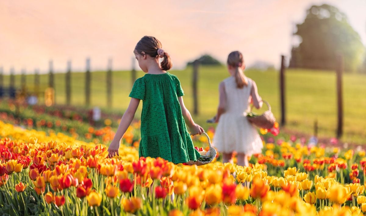 Ce poți face primăvara cu 5 euro în Ungaria, la o oră de Timișoara. Tot mai mulți români iau în calcul această variantă