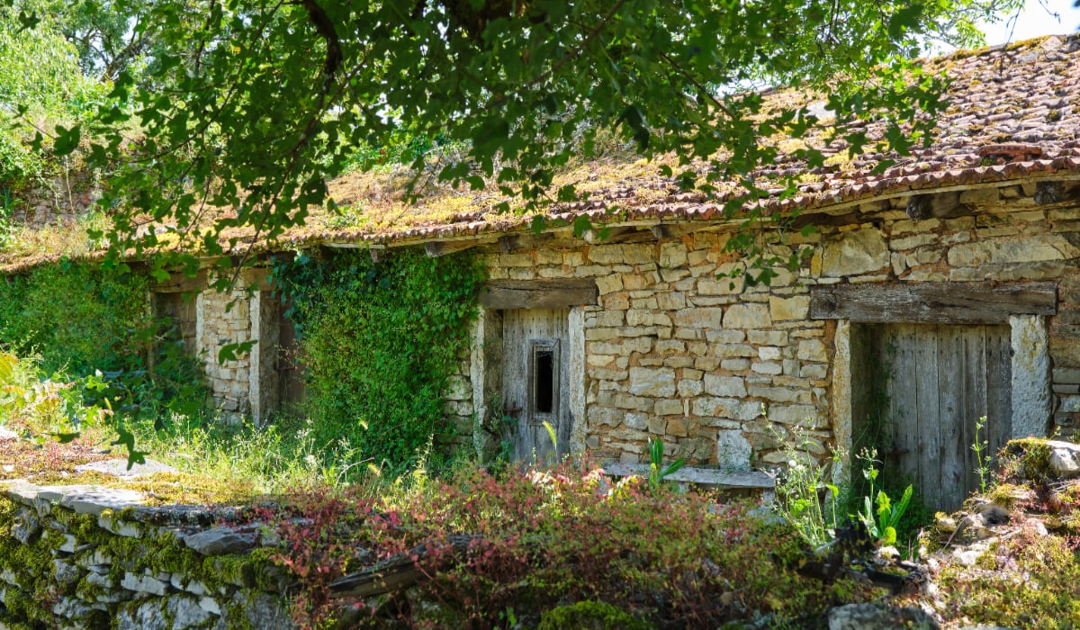 cum au cheltuit toți banii când au început renovările