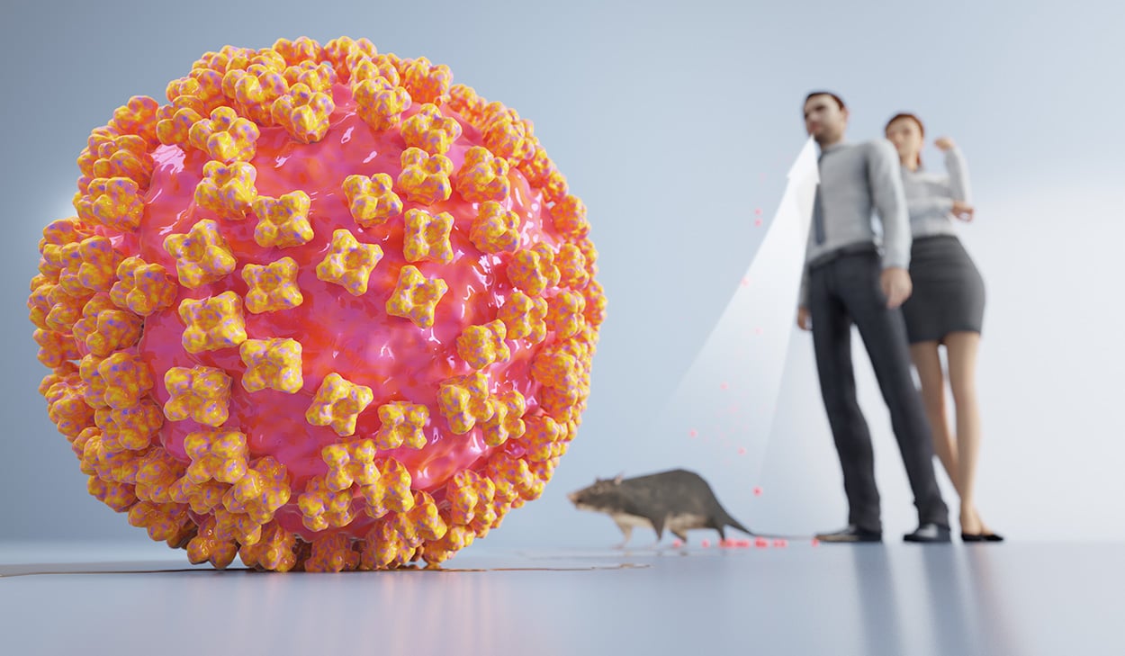 Focar de Hantavirus pe nava MV Hondius și riscul transmiterii interumane. Tulpina care se transmite de la om la om