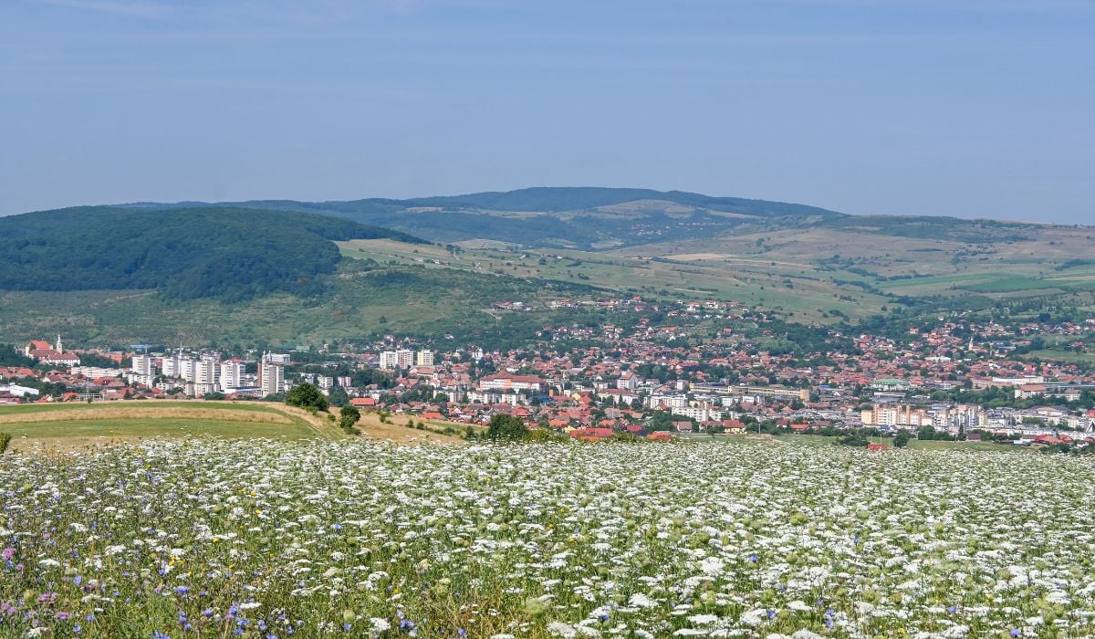 Județul Harghita va fi Regiune Gastronomică a Europei în 2027. Traseele culinare și fermele „Open Farm” s-au deschis deja pentru turiști