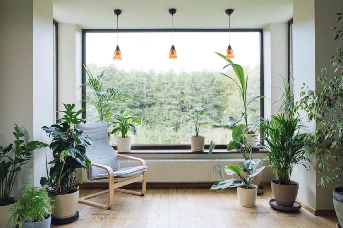 adaugă „viață” în designul interior