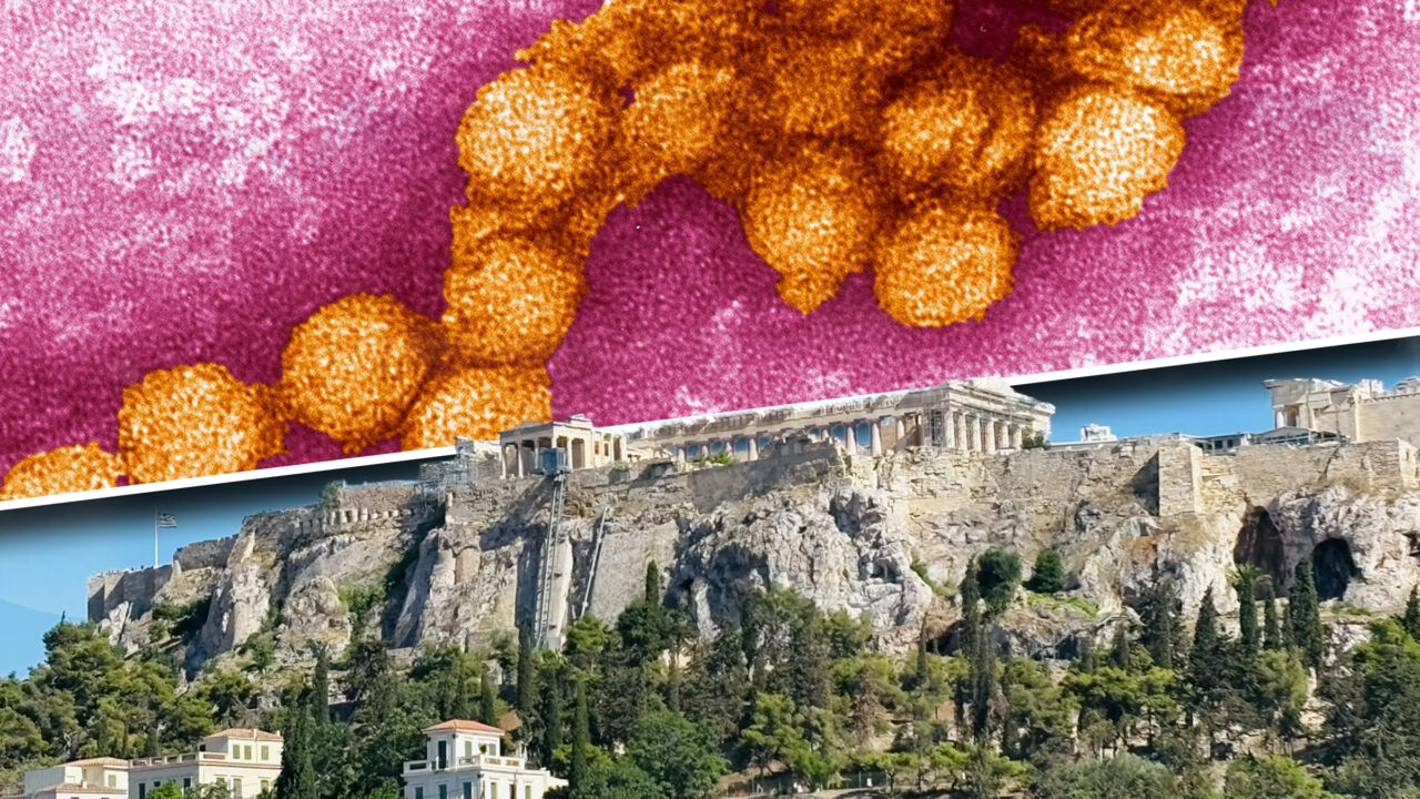 Epidemia de West Nile reizbucnește în Grecia. Autoritățile sunt în alertă