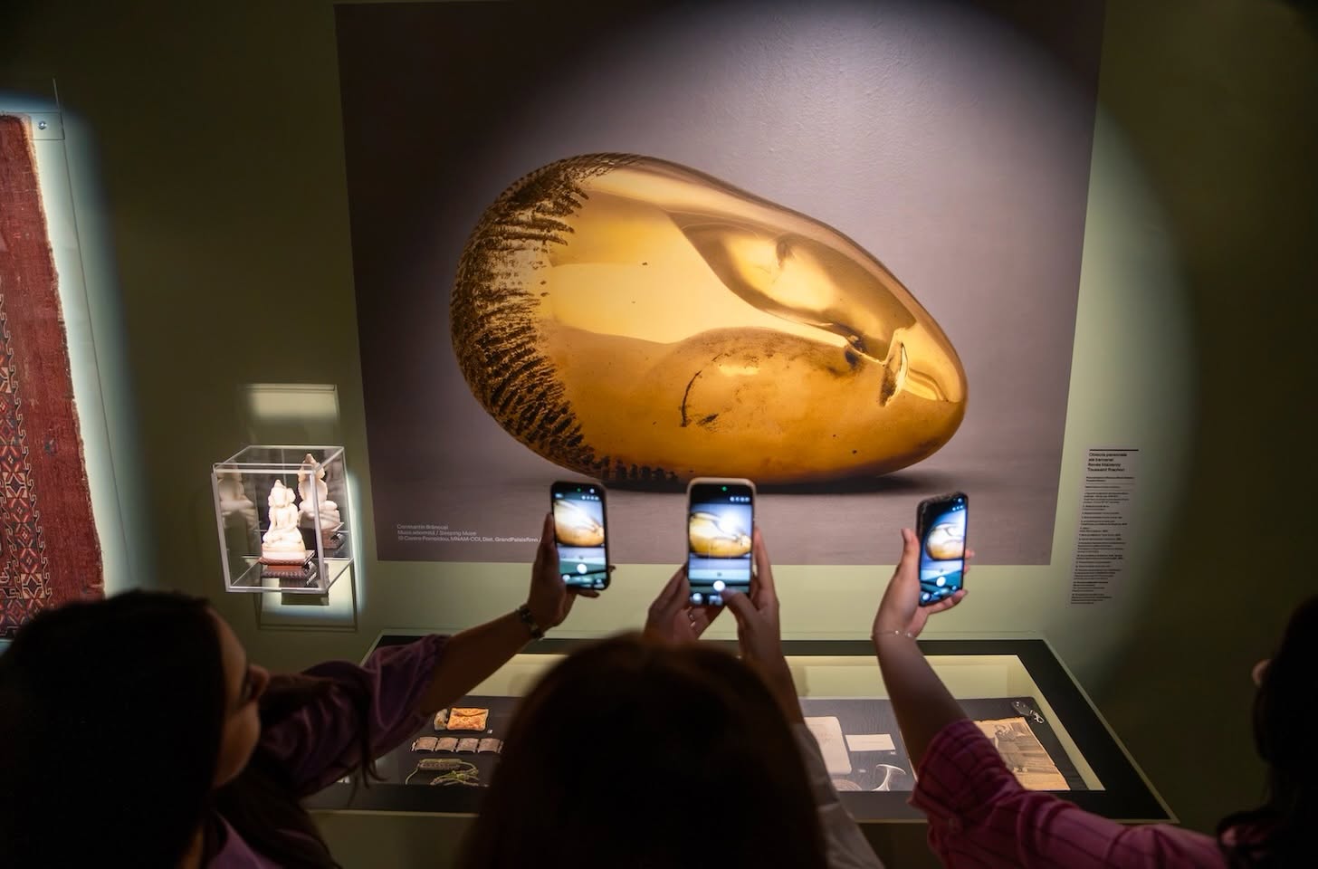 „Brâncuși și muzele sale” la Art Safari