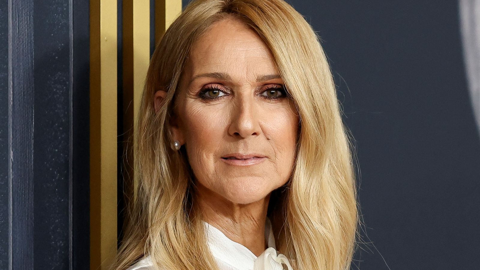 Céline Dion a revenit pe scenă după 6 ani